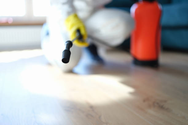 Best Forensic Mold Investigation  in Bellville, OH