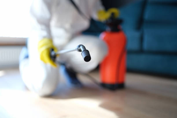 Best Airborne Mold Testing  in Bellville, OH